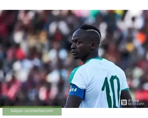 非洲杯最佳阵容出炉，强队主力领衔后防稳固进攻高效